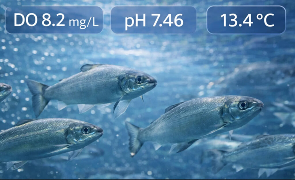 Dissolved Oxygen in Aquaculture and Aquariums